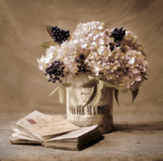 Cristin Atrina art print