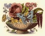 Flower Bowls - Plate I (Restrike Etching) art print