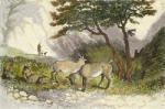 Newton Fielding art print