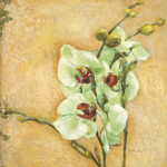 Matina Theodosiou art print