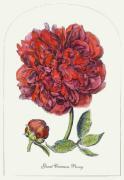 Anonymous art print