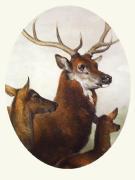 Sir Edwin Henry  Landseer art print