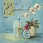 Angela Staehling art print