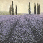 James Wiens art print