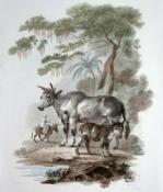 Julias Caesar Ibbetson art print