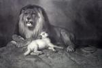 Sir Edwin Henry  Landseer art print