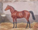 Francisca Stuart Sindici art print