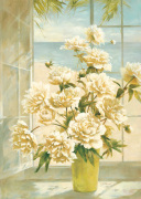 Fabrice de Villeneuve art print
