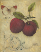 Design Regina - Andrew art print