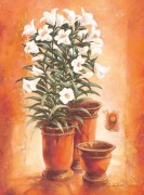 Claudia Ancilotti art print