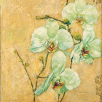 Matina Theodosiou art print