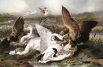 Sir Edwin Henry  Landseer art print