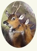 Sir Edwin Henry Landseer art print