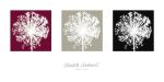 Elisabeth Verdonck art print