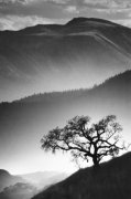 Jean Miele art print