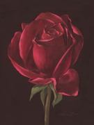 Susanne Bach art print