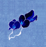 Blue Orchids I giclee art print