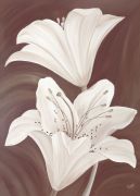 Kaye Lake art print