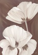 Kaye Lake art print