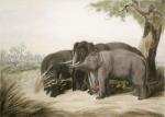 Samuel Howitt art print