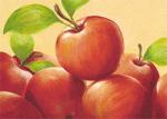 Susanne Bach art print