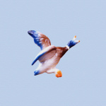 Flying Duck 2 giclee art print