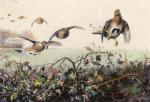 Archibald Thorburn art print