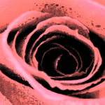 Fresco Roses giclee art print