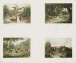 Samuel Howitt art print