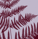 Lilac ferns giclee art print