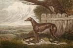 Sidney R. Wombill art print