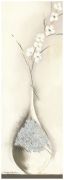 Platinium II art print