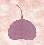 Purple Leaf I giclee art print