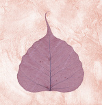 Purple Leaf II giclee art print