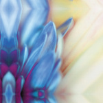 Purple Velvet giclee art print