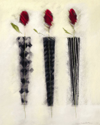 Roses-Triple art print