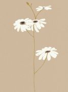 Design Show art print