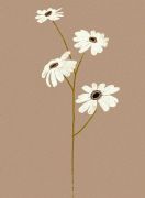 Design Show art print