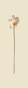 Simple Stem I giclee art print
