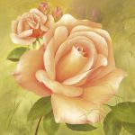 Fasani art print
