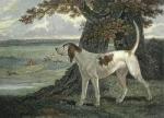 Philip Reinagle art print