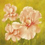 Fasani art print