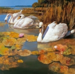 L. Lombardo art print