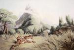 Samuel Howitt art print