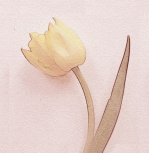Tulip I giclee art print