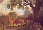 George Stubbs art print