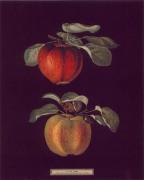 George Brookshaw art print