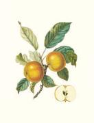 Pierre Jean Francois Turpin art print