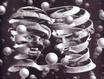 M.C. Escher art print