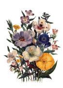 Jane Wells Loudon art print